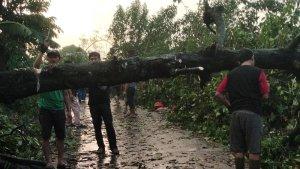 Pohon-tumbang-akibat-diterjang-angin-puting-beliung-7625.jpg