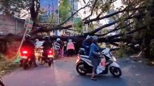 Pohon-tumbang-menutup-jalan-di-Kaliabang-Tengah.jpg