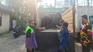 Polisi-menggagalkan-aksi-pencurian-kerbaudi-Desa-Bagoang-Kecamatan-Jasinga.jpg