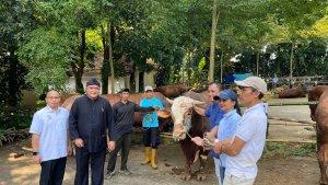 Sapi-dari-Presiden-Prabowo-untuk-warga-Desa-Bojong-Koneng.jpg