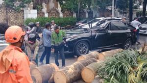 Sebuah-pohon-palem-tumbang-di-Jalan-Metro-Pondok-Indah-Raya.jpg