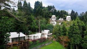 Tenda-tempat-menginap-wisatawan-di-Luxecamp-Bukit-Damar-Puncak.jpg