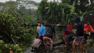 Warga-Cilangkap-mengevakuasi-pohon-tumbang-akibat-diterjang-angin-puting-beliung.jpg