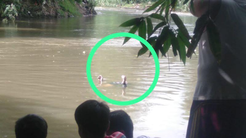 Mayat-pria-mengambang-di-Kali-Ciliwung.jpg