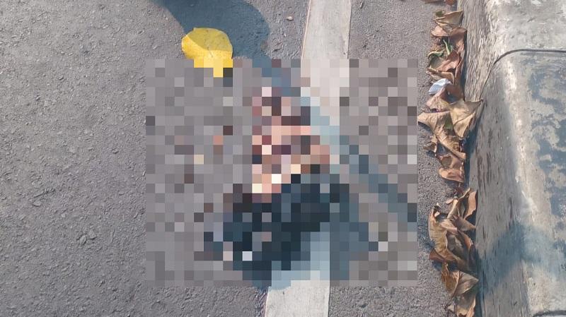 Penemuan-bayi-di-Tanah-Baru-Depok.jpg