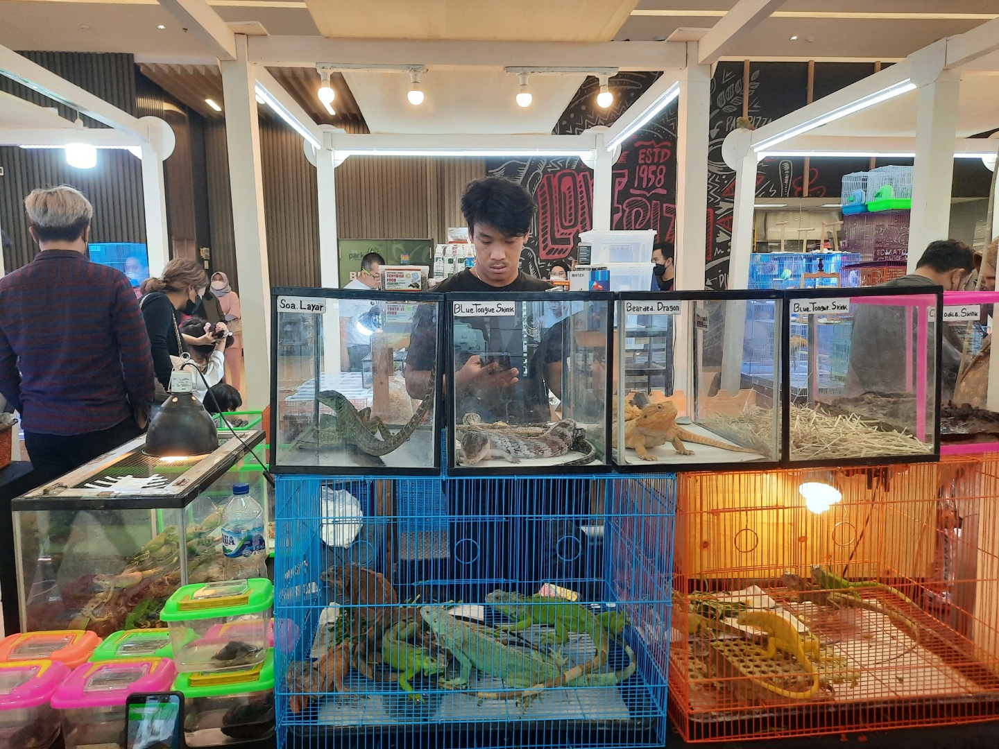 pameran-Pet-in-The-Park-di-The-Park-Sawangan-Bojongsari-Kota-Depok.jpg