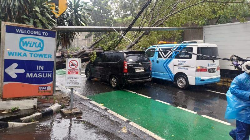 pohon-tumbang-cawang-jaktim.jpg