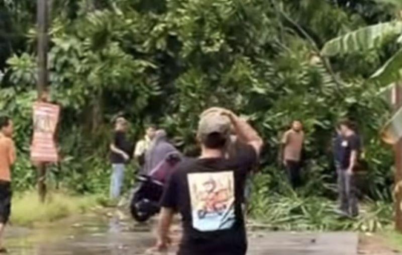 Angin Puting Beliung Terjang Depok, Pohon Tumbang di Limo, Puluhan Kios UMKM Rusak di Sawangan