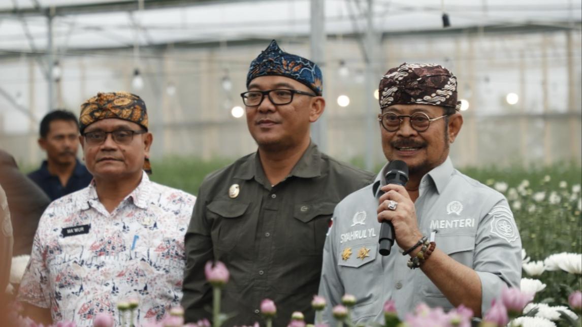 sentra-bunga-Krisan-di-Desa-Sukamanah-Kecamatan-Megamendung.jpg