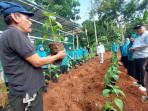 Gerakan-penanaman-pohon-cabai-di-RW-16-Kelurahan-Cimpaeun.jpg