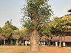 Kampus-UI-Depok-2.jpg