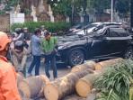 Sebuah-pohon-palem-tumbang-di-Jalan-Metro-Pondok-Indah-Raya.jpg
