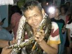 Warga-menunjukkan-ular-sanca-sepanjang-6-meter-dengan-bobot-65-kilogram-di-Sukasari.jpg