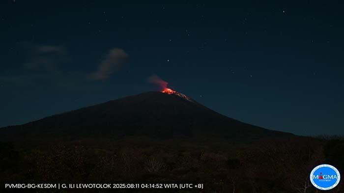 6 Jam Terakhir Gunung Lewotolok Lembata 66 Kali Gempa Erupsi 20 Kali Gempa Hembusan
