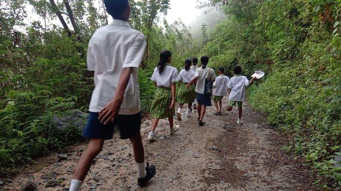Cerita Pelajar di Pelosok Sikka, Jalan Kaki 5 Kilometer Tiap Hari ke  Sekolah - Tribunflores.com
