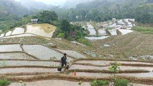 BUKIT-WAE-BOBO.jpg