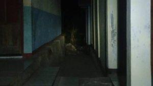 Foto-Kepsek-Diduga-Curi-di-Flotim.jpg