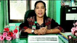 Kepala-Puskesmas-Wolomarang-Maria-Apriana-Nona-Pehan.jpg