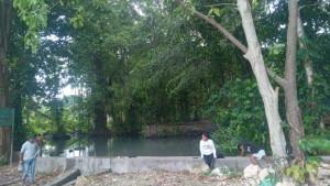 MATA-AIR-Kolam-mata-air-alami-yang-menyimpan-keindahan.jpg