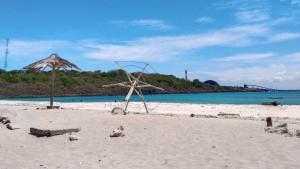 Pantai-Oesina-Kupang-NTT.jpg