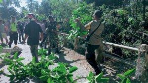 Sebuah-pohon-besar-tumbang-melintang.jpg