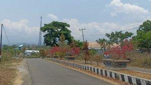 Taman-Bunga-di-Matim.jpg