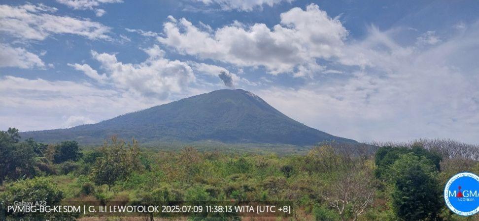 6-Jam-TerakhirGunung-Api-Lewotolok-Lembata-39-Kali-Gempa-Letusan.jpg