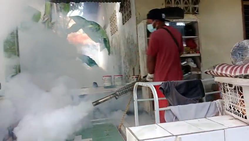 FOGGING-Petugas-Dinas-Kesehatan-Kabupaten-Sikka.jpg