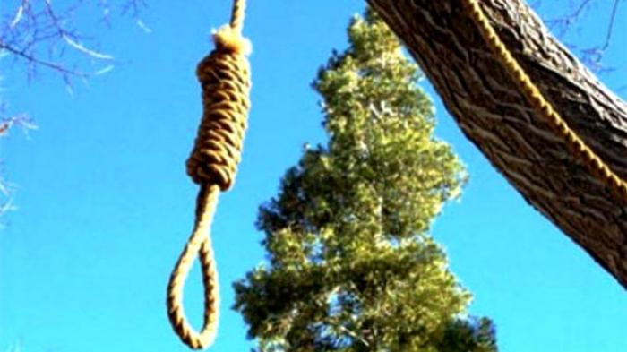 Sembilan Hari Hilang dari Rumah, Warga Sikka Ditemukan di Dahan Pohon