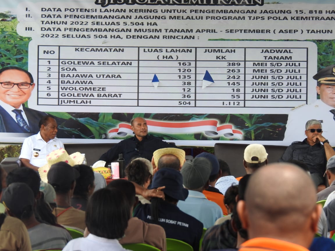 Ratusan Petani Radawea Ngada Sambut Gubernur NTT di Tengah Sawah