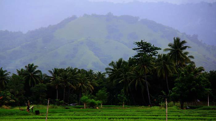 HUJAN-DI-BUKIT-Kondisi-hujan-di-Bukit-Magepanda-Sikka-Flores-NTT-Senin-24-Februari-2025.jpg