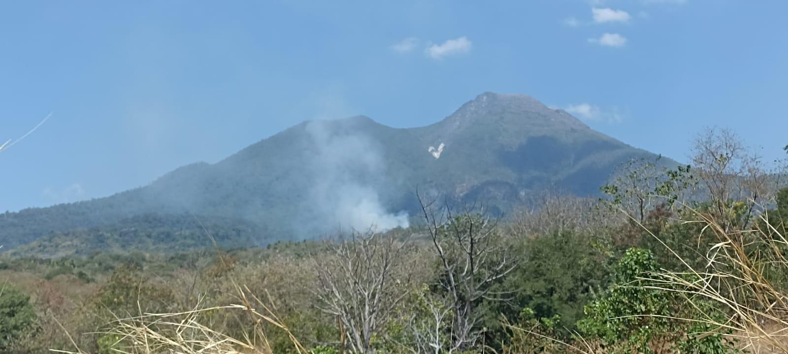 Kawasan Hutan Lindung Egon Ilin Medo Sikka Terbakar, Petugas Alami Kendala Alat Pemadaman Tidak Ada