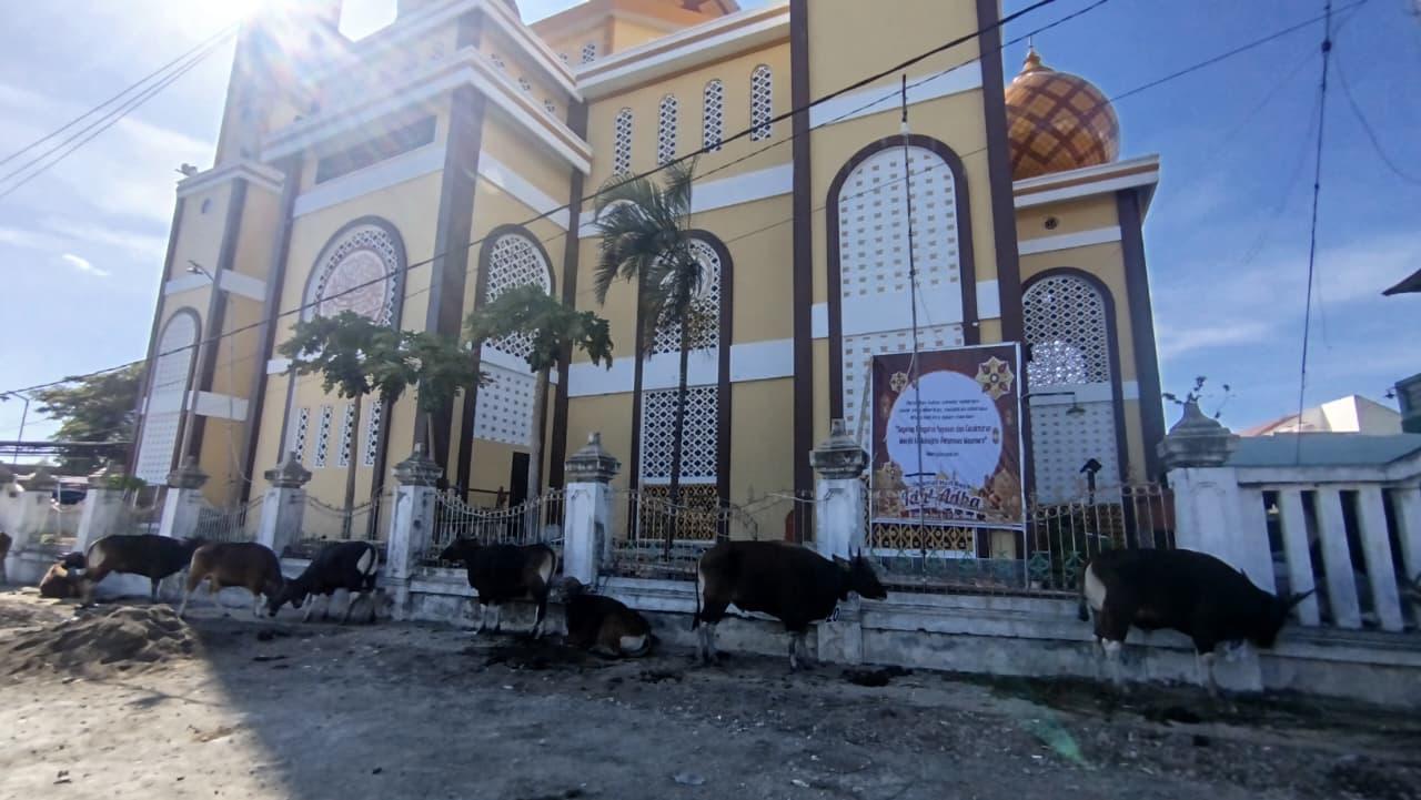 Kurban-Sapi-di-depan-masjid-perumnas.jpg