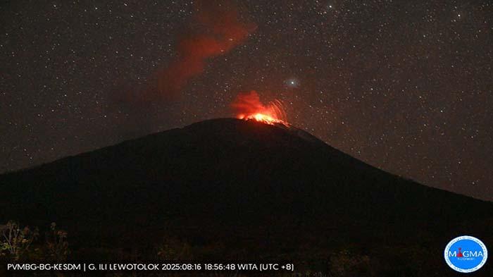LEWOTOLOK-Selama-24-terakhir-Gunung-Lewotolok-NTT-173-Kali-Gempa-Erupsi-130.jpg