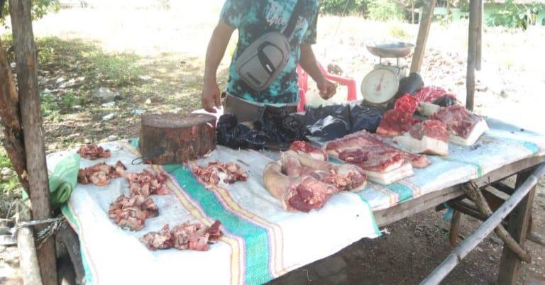 Cegah ASF, Pemda Flores Timur dan Rohaniwan Edukasi Warga hingga Larang Konsumsi Daging Babi Sakit