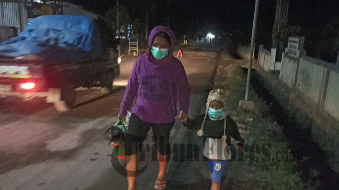 Warga Flores Timur Kembali Mengungsi Ke Sikka Pasca Erupsi Dahsyat Gunung Lewotobi Laki-laki 