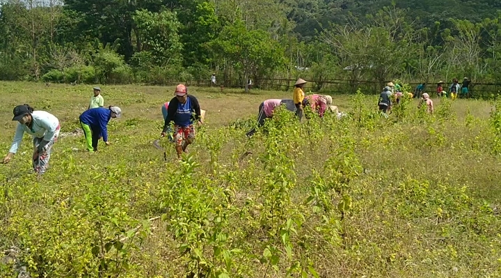 PEMBERSIHAN-LAHAN.jpg