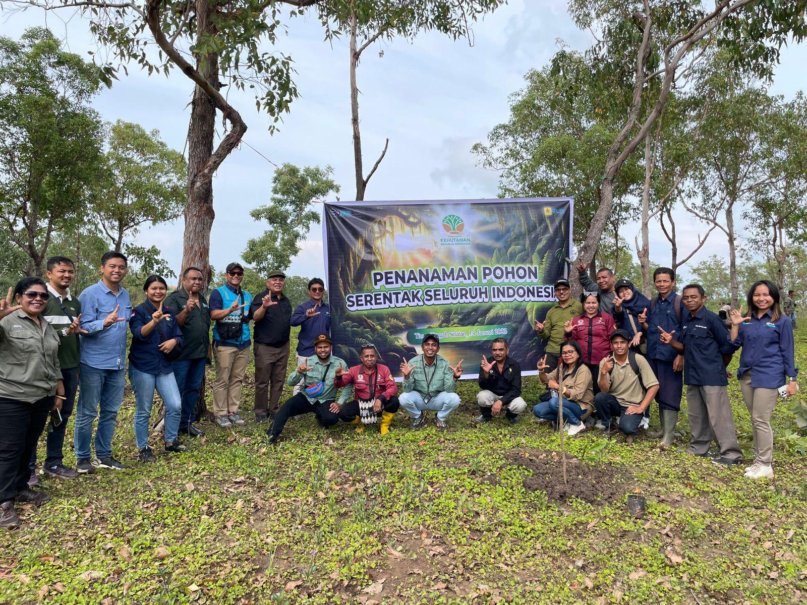 PLN-Tanam-1.jpg