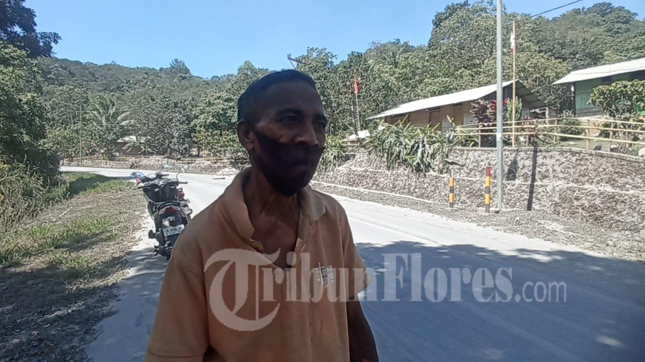 Dua Tahun Terdampak Letusan Gunung Lewotobi, Petani di Talibura Sikka Kehilangan Pendapatan