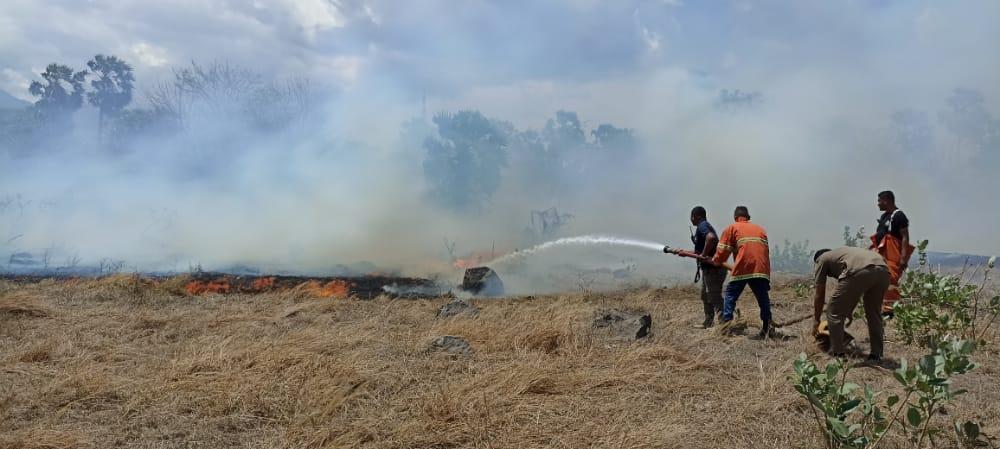 Petugas-Pemadam-kebakaran-Kabupaten-Sikka-sedang-berupaya-memadamkan-api.jpg