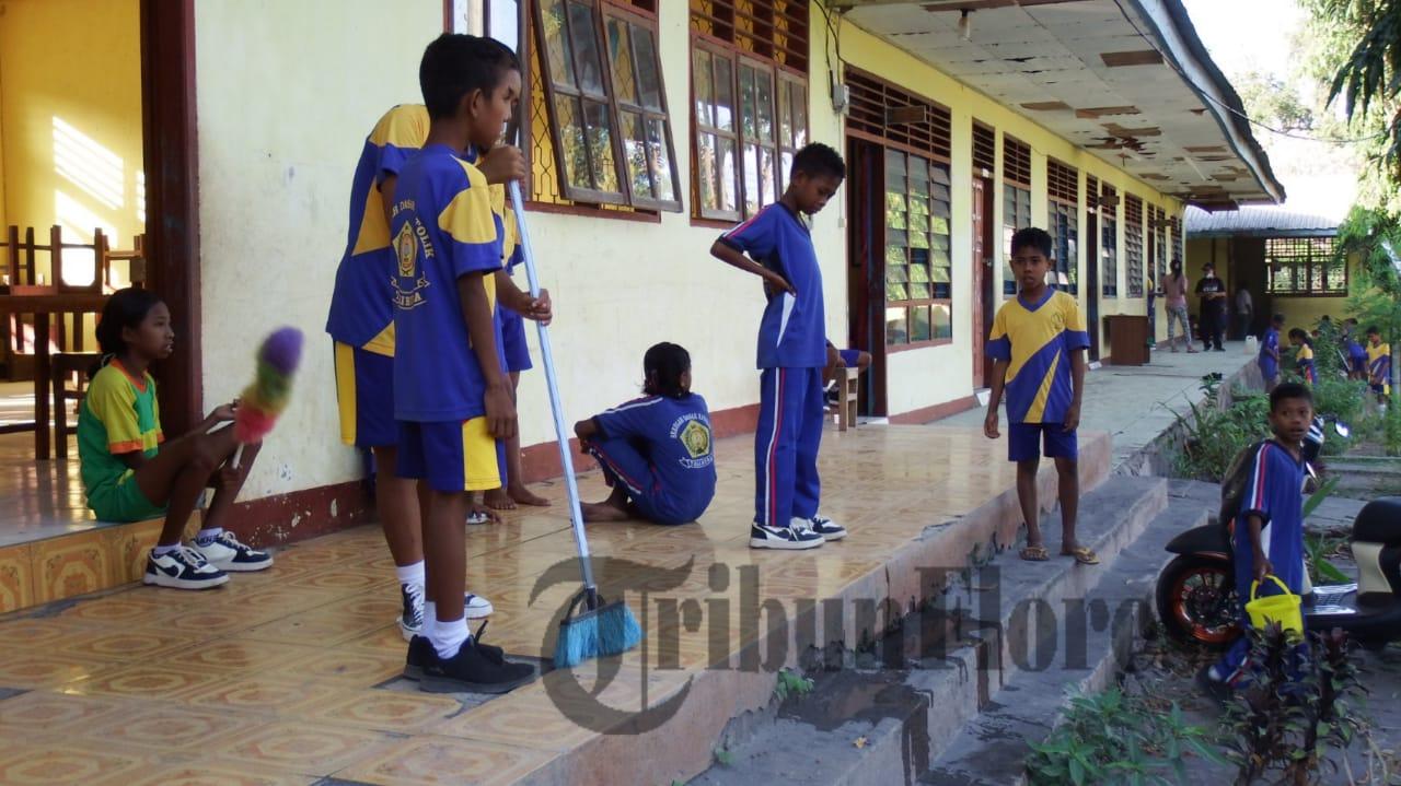 Siswa dan Guru di Talibura Sikka Bersihkan Abu Vulkanik Gunung Lewotobi Laki-laki 