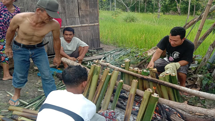 Mengenal Tradisi Tapa Kolo di Manggarai Timur