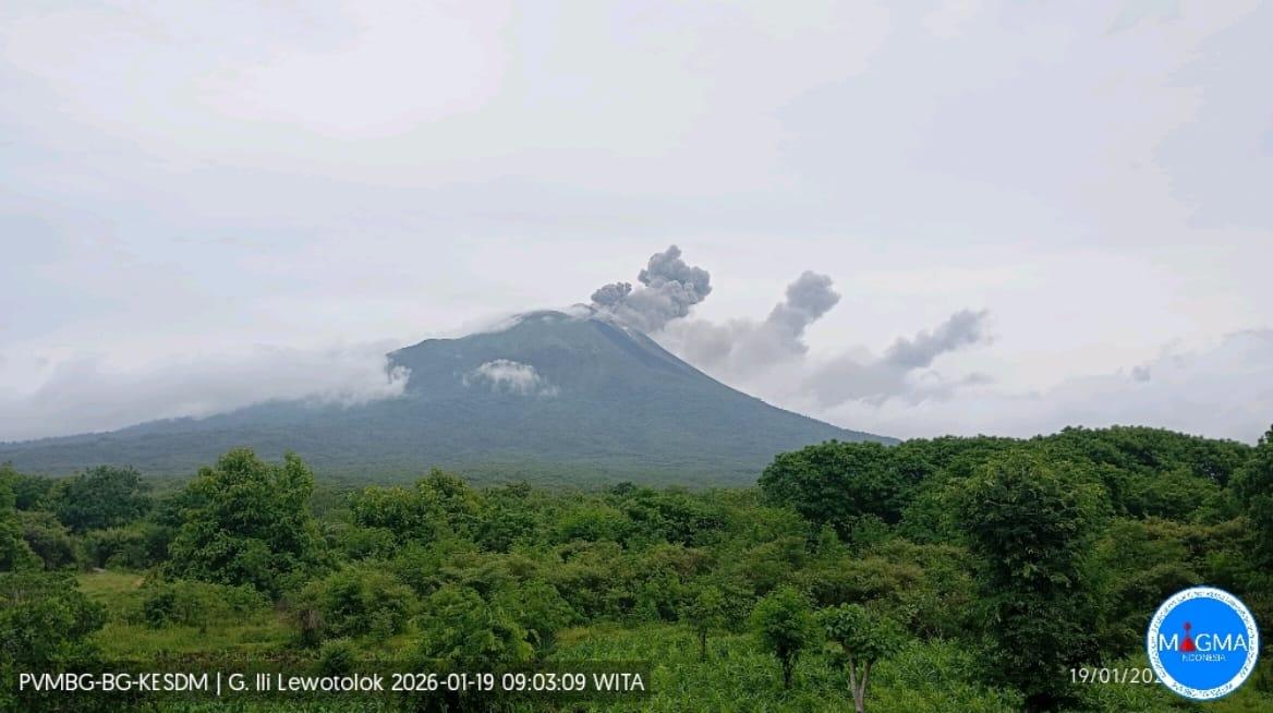 erupsi-senin-pagi-lewotolok.jpg