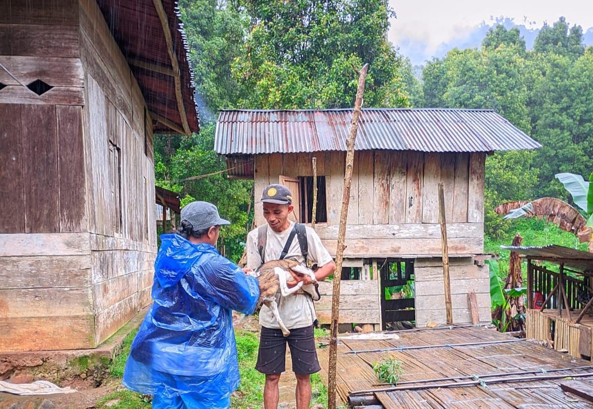 vaksin-anti-rabies-ke-salah-satu-ekor-anjing-milik-warga-di-Desa-Golo-Tolang.jpg