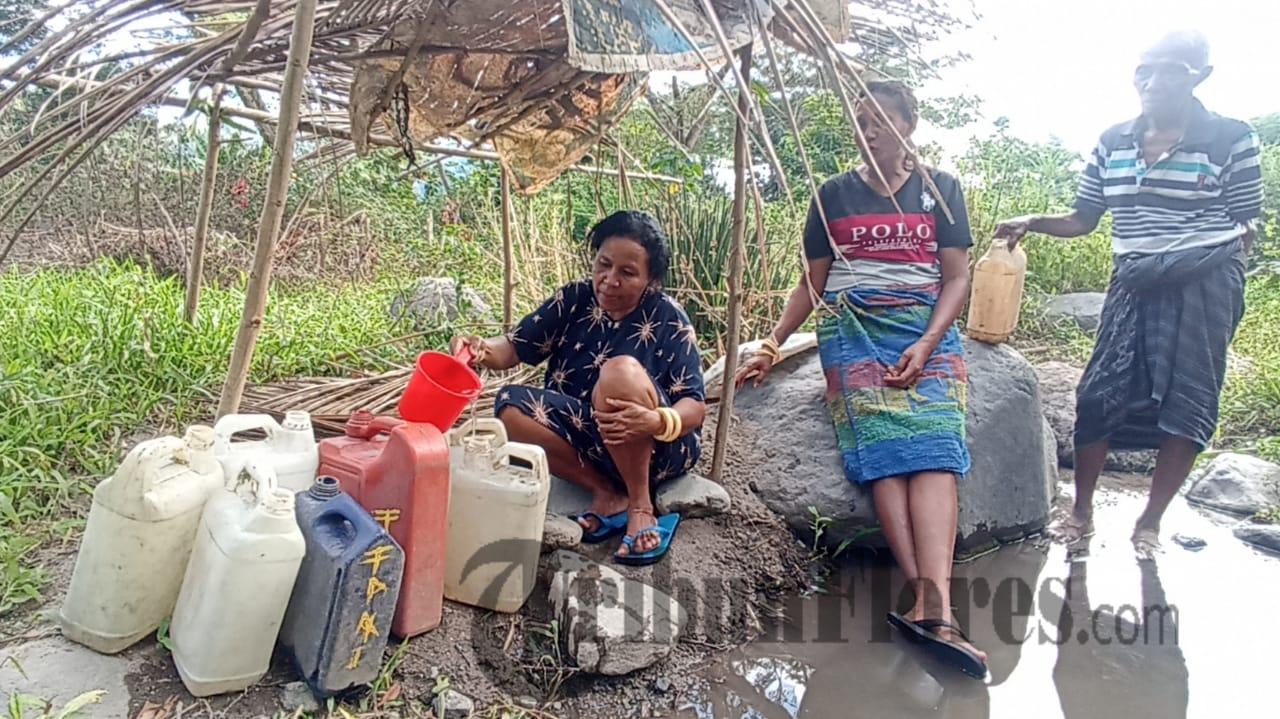 Puluhan Tahun Krisis Air Bersih, Warga Tilang Sikka Minum Air Kotor
