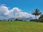 DINTOR-MANGGARAI.jpg