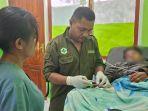 Hipotermia-sedang-dirawat-di-Puskesmas-Fatumnasi-Kabupaten-Timor-Tengah-Selatan.jpg