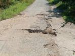 Kondisi-ruas-jalan-Habi-Nele-yang-mengalami-kerusakan-yang-cukup-parah.jpg