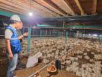 PLN-Soal-Tarif-Listrik.jpg