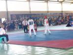 POPDA-TAEKWONDO.jpg